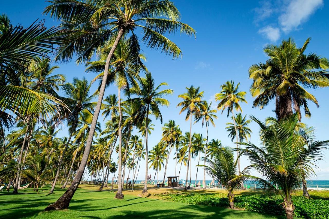 Paraiso Na Terra - Carneiros Beach Resort Тамандаре Экстерьер фото